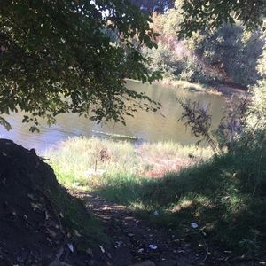 Meet your Posher, Lacey